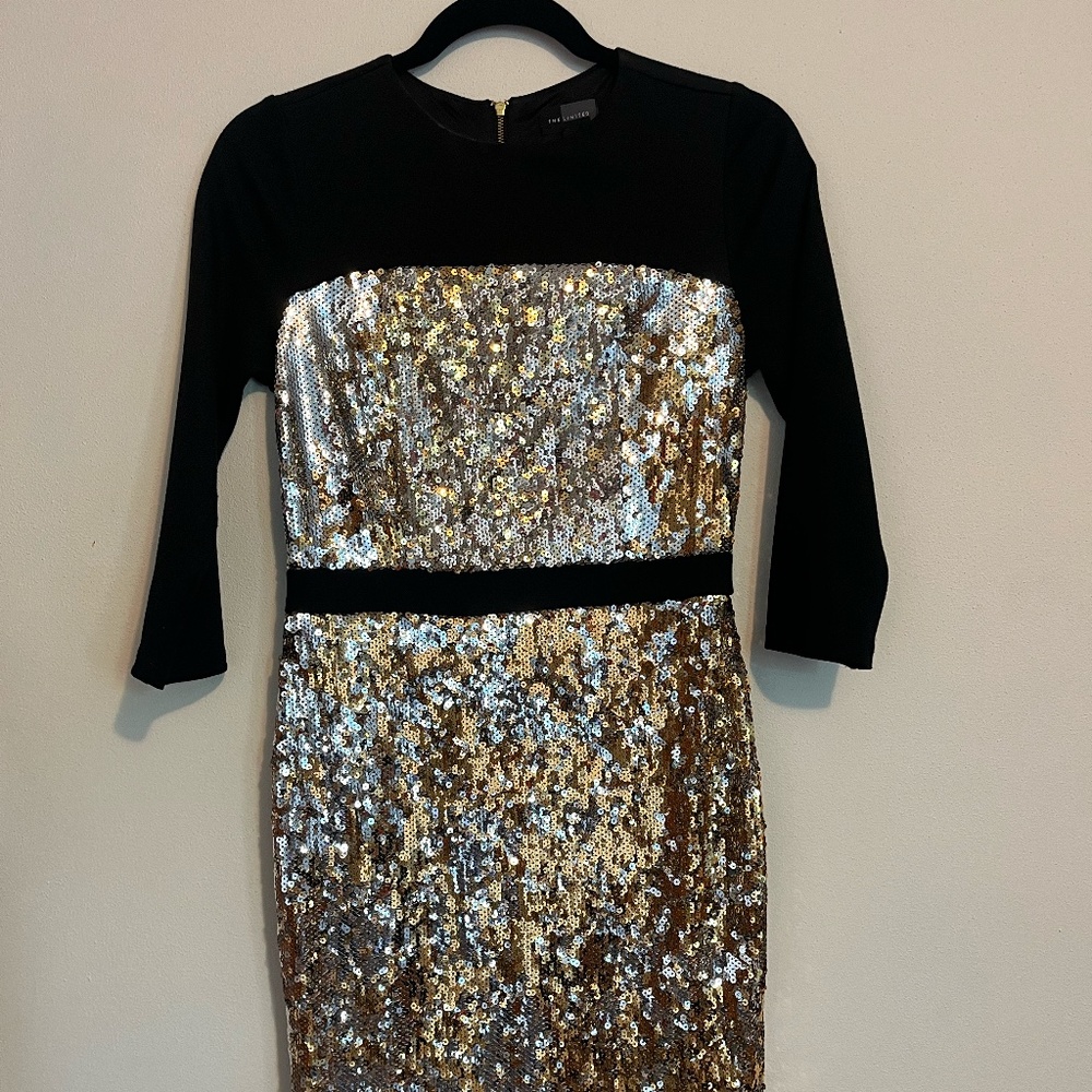 The Limited, gold and silver sequin dress!